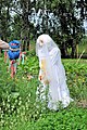 * Nomination: Scarecrows in Bolestraszyce Arboretum --Kroton 20:03, 25 June 2016 (UTC) * * Review needed