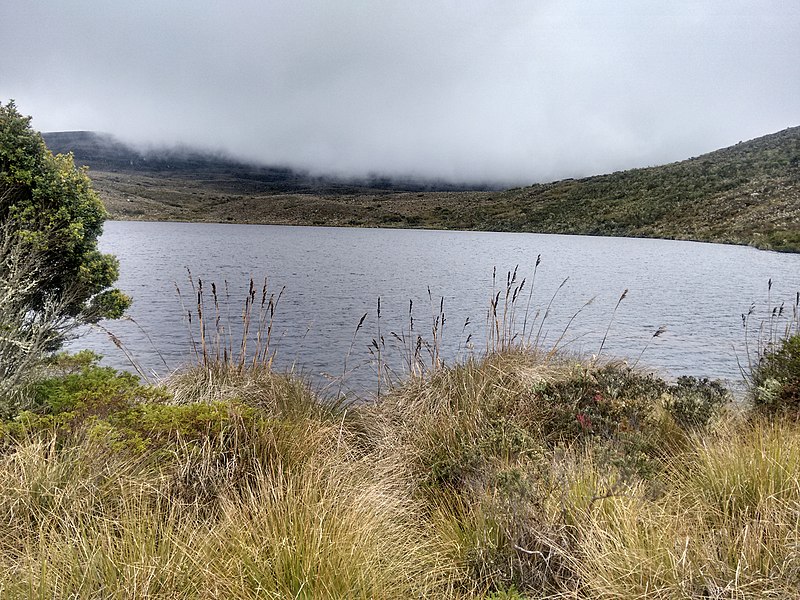 File:Paramo de sumapaz-laguna de los colorados.jpg