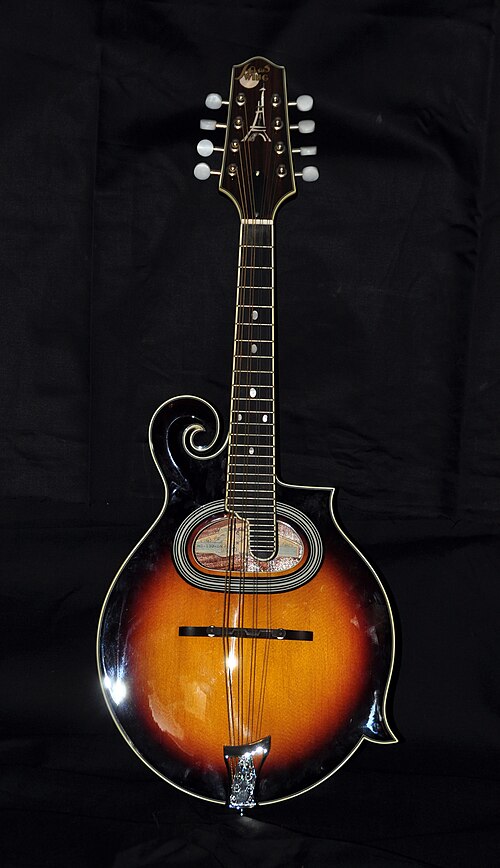 Archtop mandolin