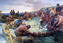 イワシ漁（1897）
