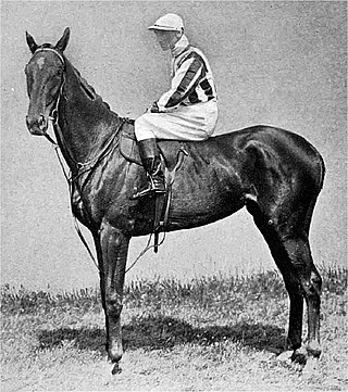 <span class="mw-page-title-main">Perola (horse)</span> British-bred Thoroughbred racehorse