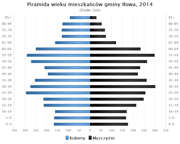 Piramida wieku Gmina Ilowa.png