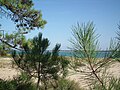 Thumbnail for File:Plage de Gatseau (2).JPG