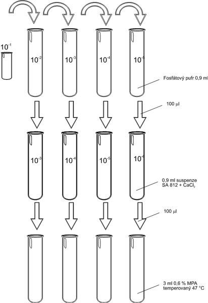 File:Plaque forming unit cs.png