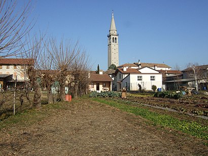 How to get to Mereto Di Tomba with public transit - About the place