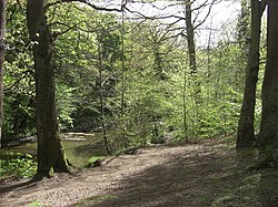 Plessey Woods Country Park - geograph.org.inggris - 1314402.jpg