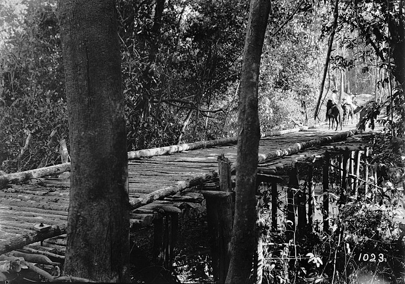 File:Ponte de Madeira sobre Igarapé - 1023, Acervo do Museu Paulista da USP (cropped).jpg