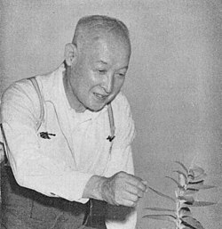 Takenoshin Nakai heinäkuussa 1952.