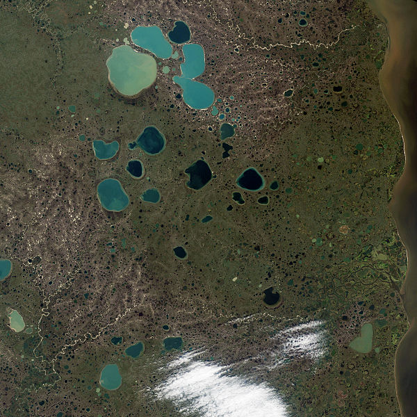 File:PotholeLakes.Siberia.L7.20010910.jpg