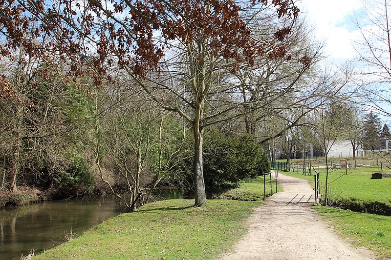 File:Prairie de Jaumeron à Gif-sur-Yvette le 1er avril 2015 - 22.jpg