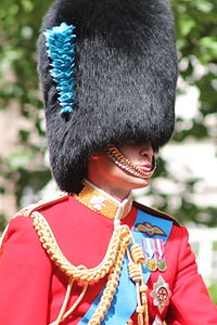 Prince William Trooping the Colour.JPG