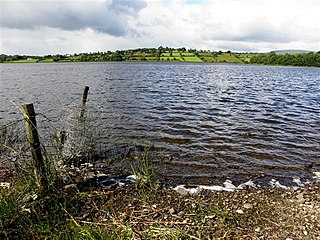 <span class="mw-page-title-main">Prospect, Corlough</span> Townland in the civil parish of Templeport, County Cavan, Ireland