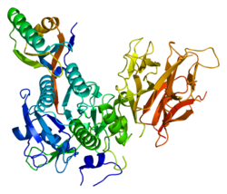 Proproteinkonvertase Subtilisin/Kexin Typ 9