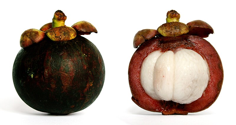 File:Purple mangosteen.jpg