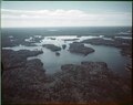 Aerial view of the lakes and forests of Quetico Provincial Park, 1958