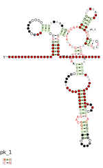 Thumbnail for Cobalamin riboswitch