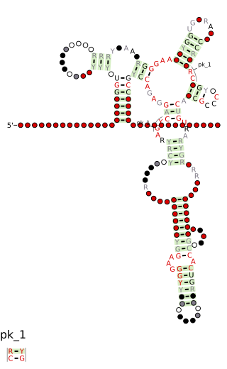 <span class="mw-page-title-main">Cobalamin riboswitch</span>