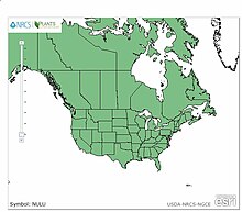 Range Map for Nuphar lutea in North America.jpg