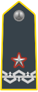 Rank insignia of colonnello comandante con funzioni superiori of the Guardia di Finanza