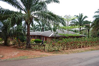 <span class="mw-page-title-main">Paxherbals</span> Nigerian alternative medicine product manufacturing company