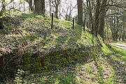 Ringwall von Burg Mauer