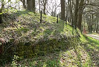 Ring wall of Burg Mauer.jpg