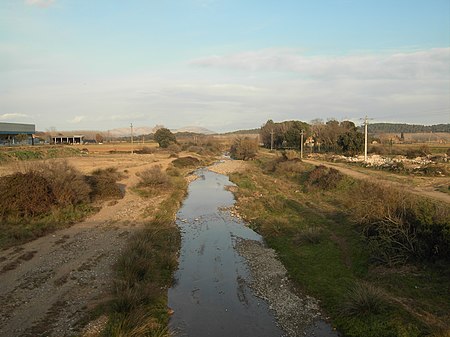 Rissec Corça