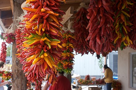 Chile ristras ripening from green to red