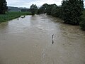 Rittschein Hochwasser 2009