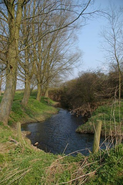 File:River Chelmer - geograph.org.uk - 383186.jpg