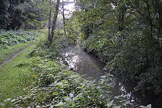 <span class="mw-page-title-main">Flitwick Moor</span> Nature reserve in the United Kingdom