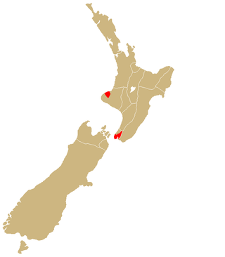 <span class="mw-page-title-main">Te Āti Awa</span> Māori iwi in New Zealand