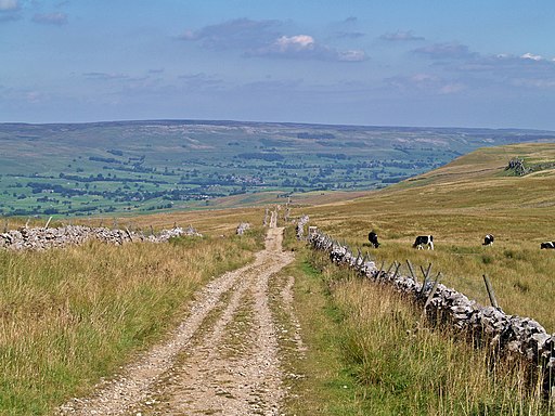 Roman Road - geograph.org.uk - 2339524