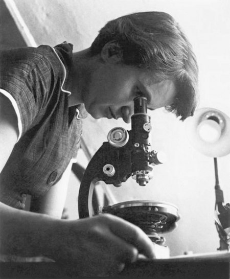 Rosalind_Franklin