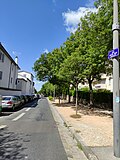 Vignette pour Rue Pauline-Marie-Jaricot