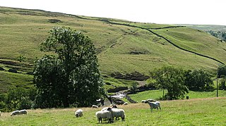 <span class="mw-page-title-main">Helwith</span> Hamlet in North Yorkshire, England