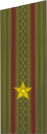 погоны 1969