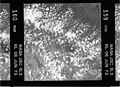 Kodak Panatomic-X B&W film with 500-600 nm bandpass filter