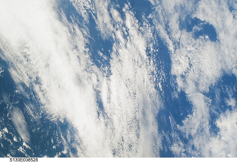 File:STS130-E-8528 - View of Earth.jpg