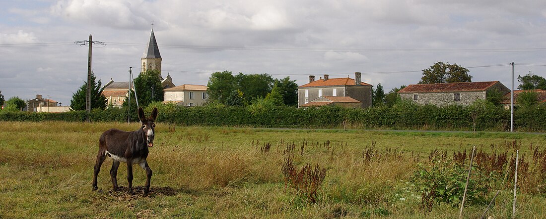 Saint-Pierre-le-Vieux (Vendée)