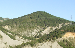 Sant Pere Màrtir