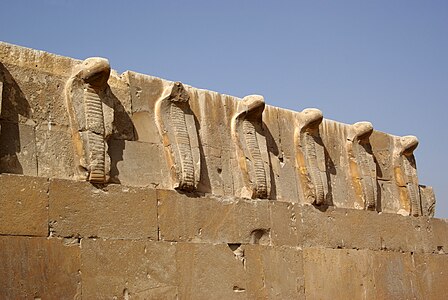 Cobras at the nekropolis of Djoser