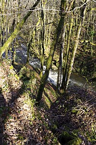 Die Dronne am Saut du Chalard