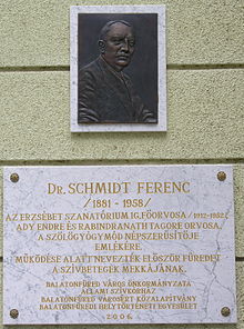 Ferenc Schmidt (kuracisto)