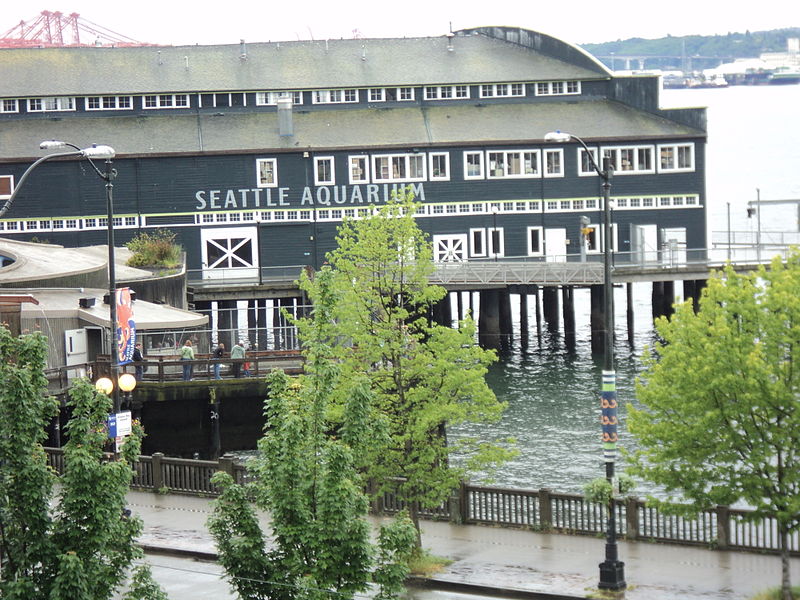 File:Seattle Aquarium in the rain Alaskan Way Seattle Washington.JPG