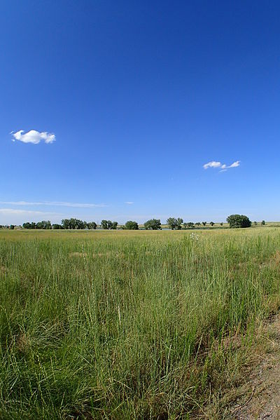 File:Shortgrass Prairie (14833899347).jpg