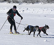 Extreme Skijoring back in Wallace