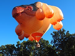 "The Skywhale", commissioned for the centenary of Canberra. Skywhale taking off May 2013.jpg
