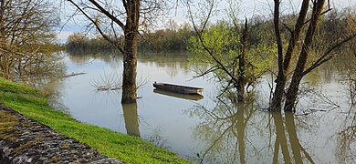 Small boat on Sava river, Croatia.jpg