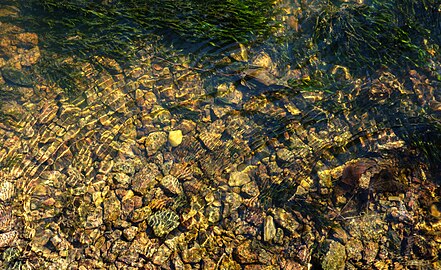 Small clear pool at Myrstigen